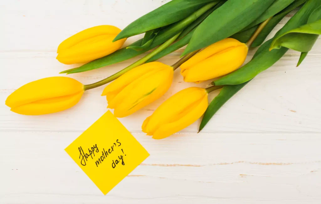 tulipas amarelas