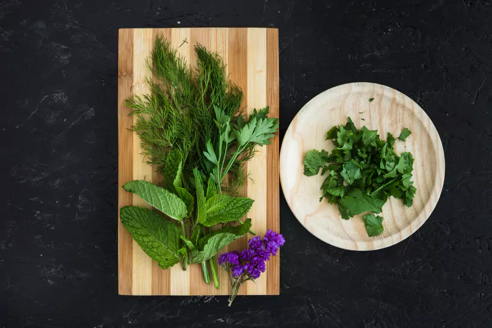 Como plantar cheiro verde