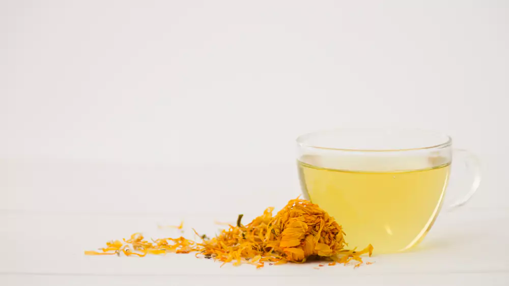A erva doce, também conhecida como funcho, é uma planta aromática que muita gente usa na cozinha.