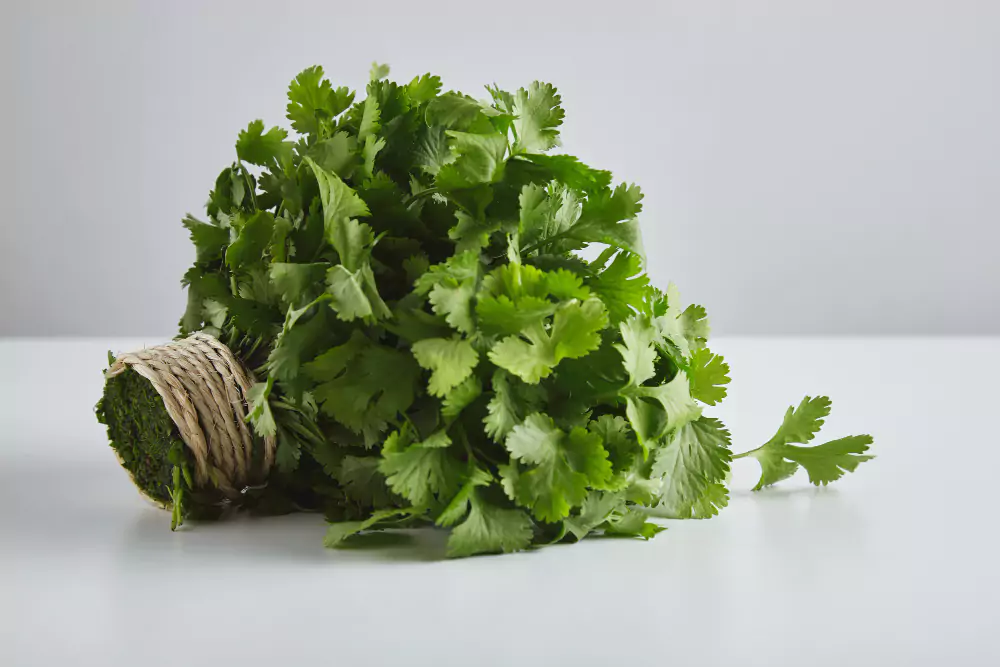 Cultivar hortaliças