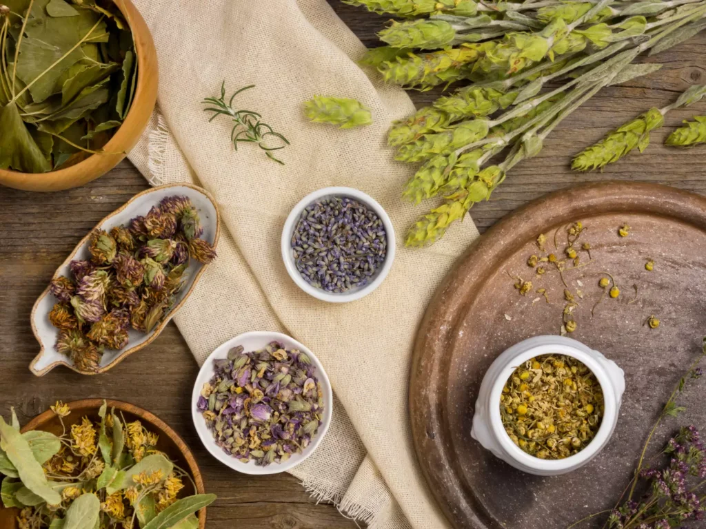 plantas medicinais