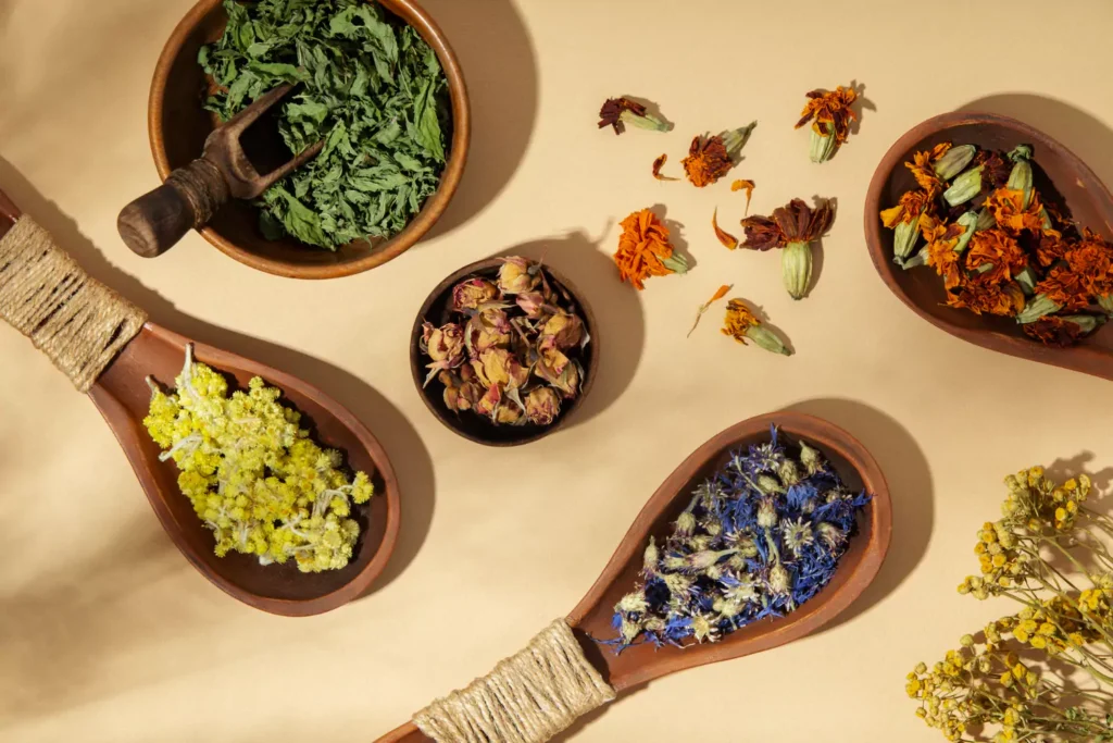 plantas medicinais