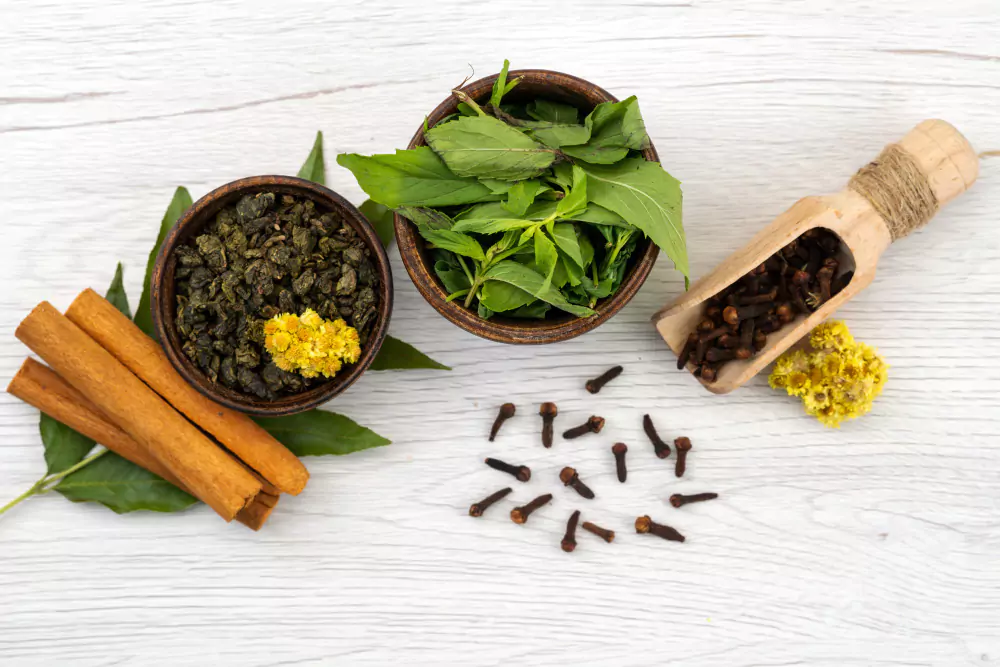 plantas medicinais brasileiras