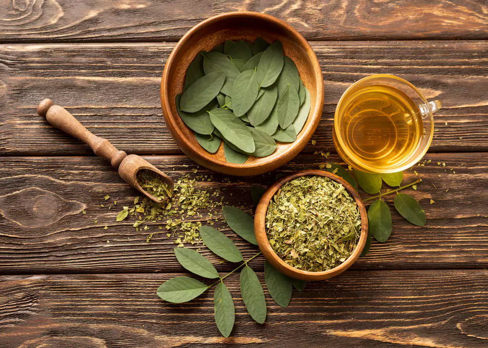 plantas medicinais brasileiras