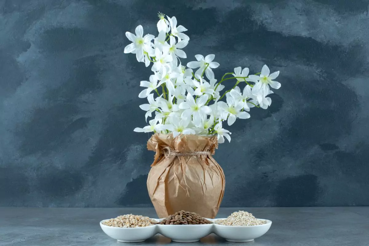 Flor de gardênia branca em vaso, vista de perto