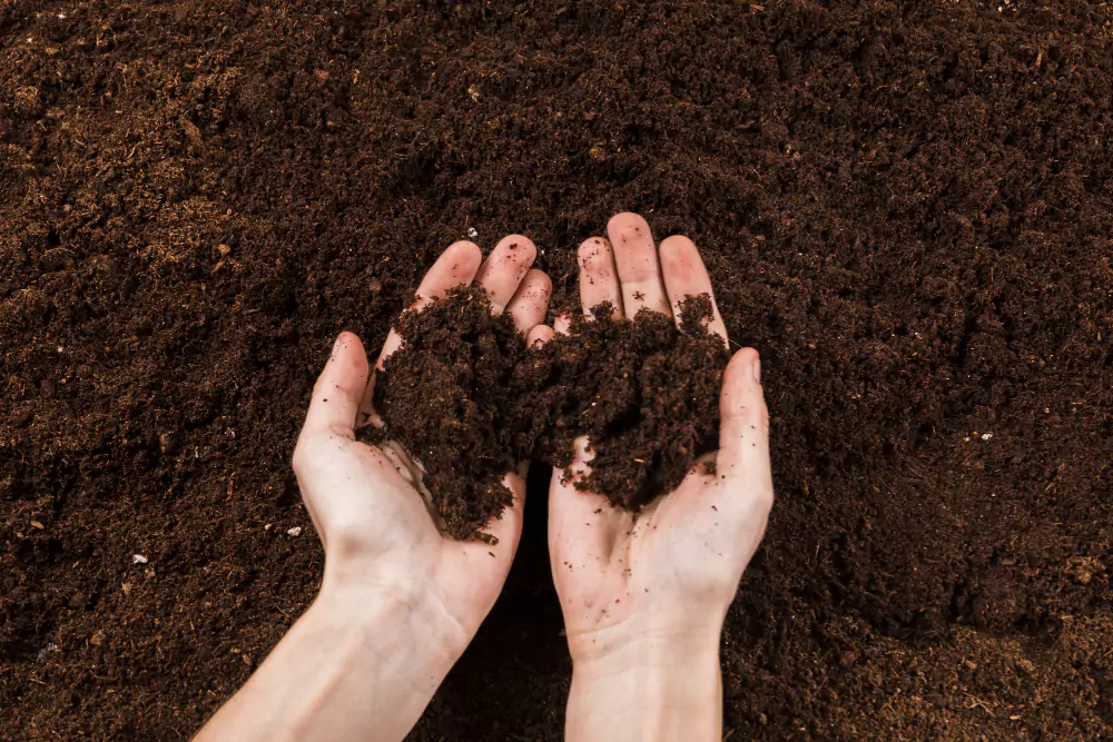 compostagem