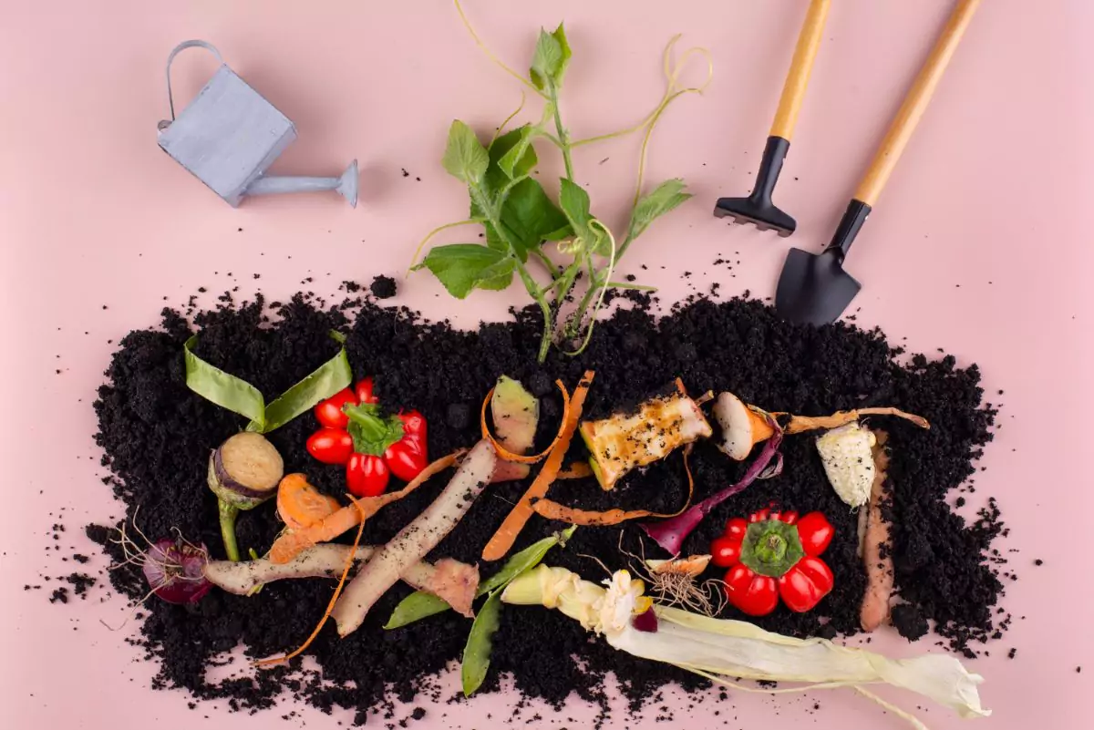 como fazer compostagem