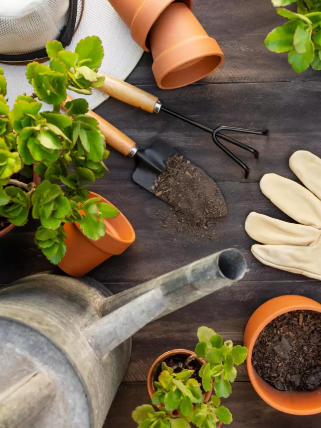 Ferramentas de Jardinagem: quais você realmente precisa!
