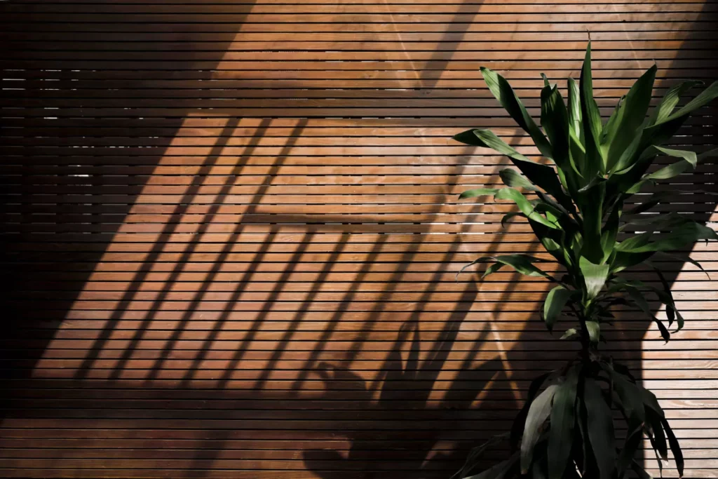 plantas que gostam de sombra