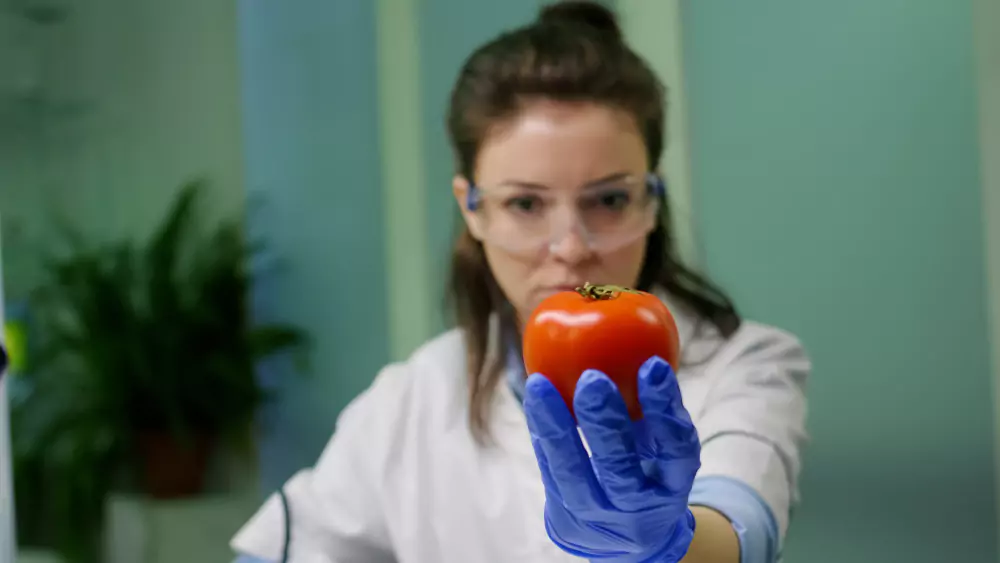 Tipos de verduras