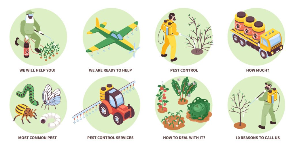 Estudo revela os tipos de verduras mais contaminados por agrotóxicos no Brasil em 2025