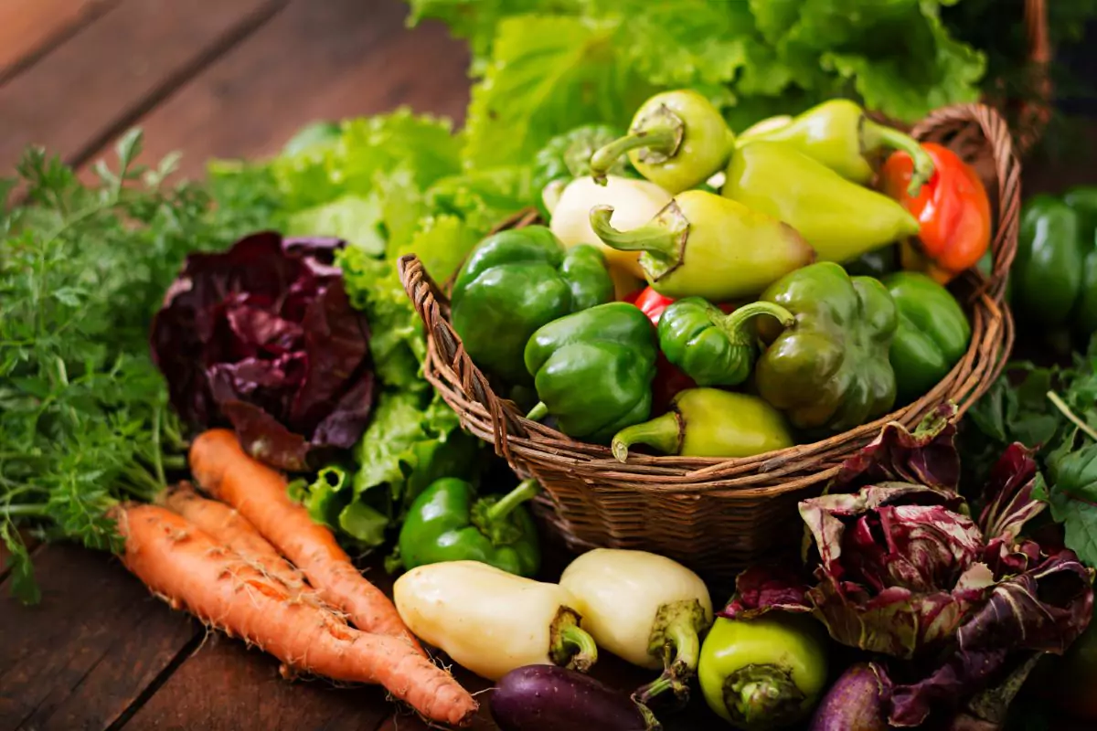 verduras faceis de cultivar em casa