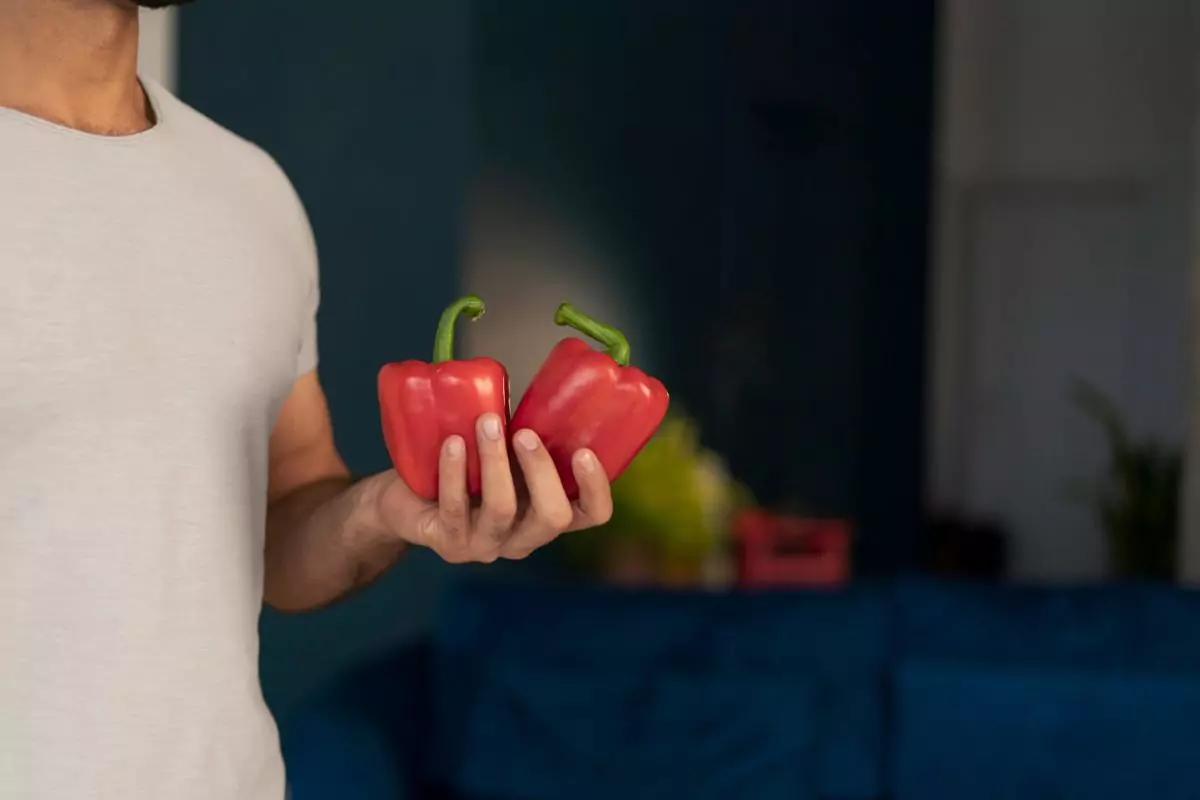 como plantar e cuidar de pimentão