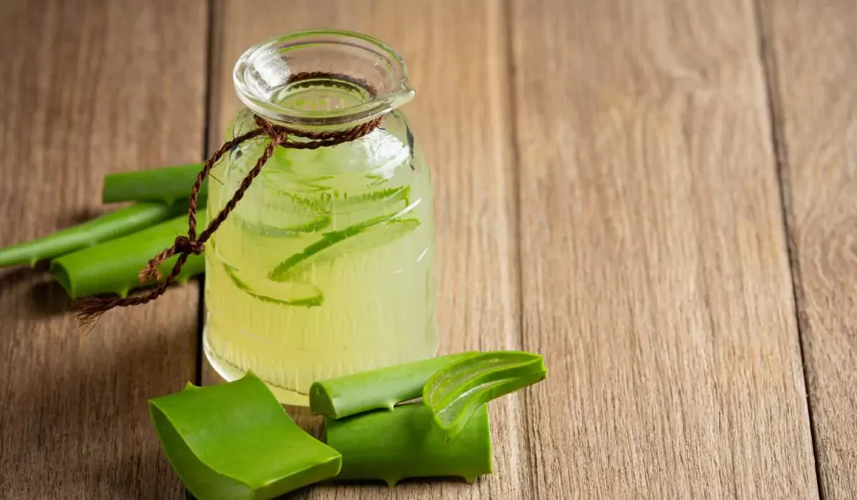 15 beneficios da babosa